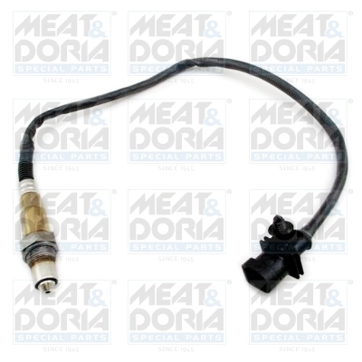 Oxygen Sensor
